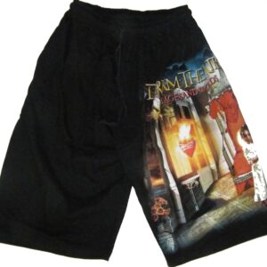 Dream Theater shorts Images and Words