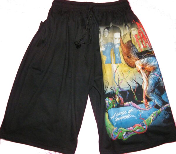 In Flames shorts A Sense of Purpose