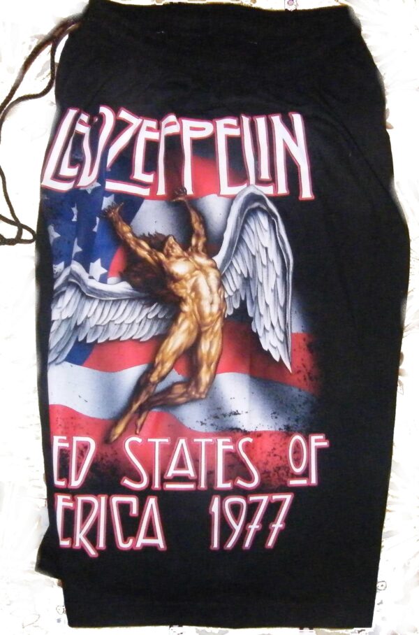 Led Zeppelin shorts - Image 2