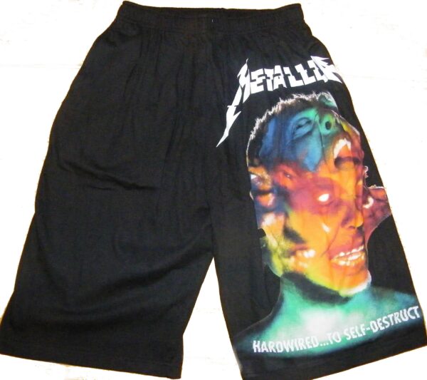 Metallica shorts Hardwired... to Self-Destruct - Image 2