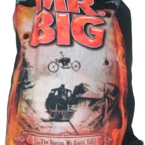 Mr.Big backpack The Stories We Could Tell