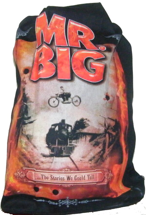 Mr.Big backpack The Stories We Could Tell