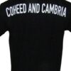 Coheed And Cambria t-shirt The Afterman size M - Image 2