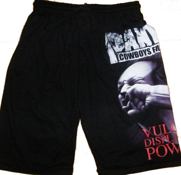 Pantera shorts - Image 2