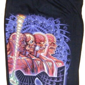 Tool shorts Lateralus