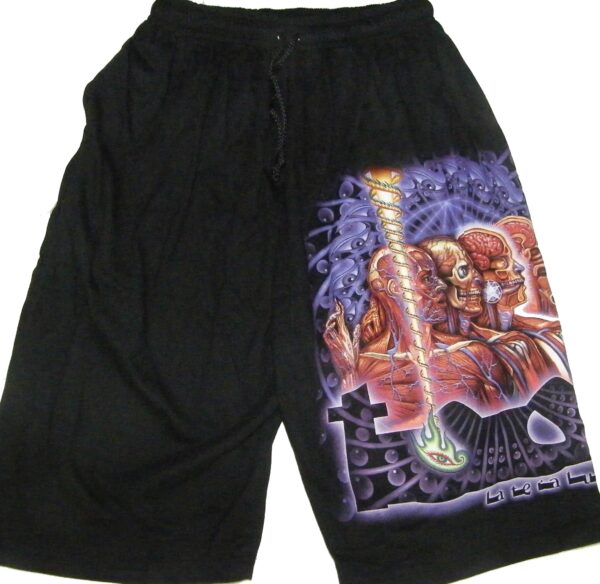 Tool shorts Lateralus - Image 2
