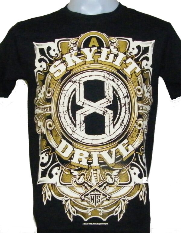 A Skylit Drive t-shirt size L