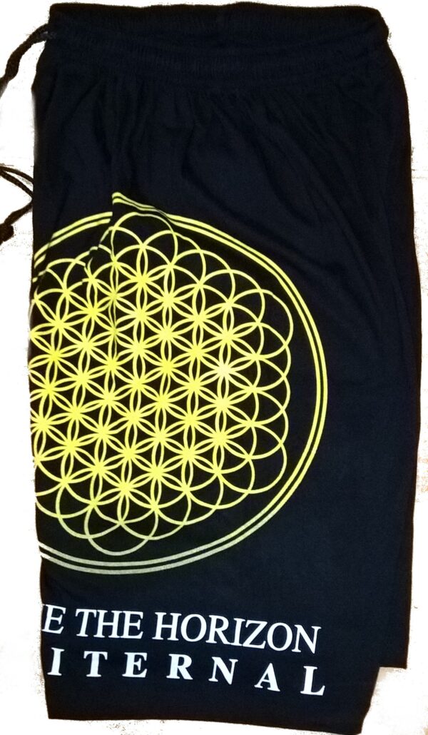 Bring Me The Horizon shorts Sempiternal - Image 2