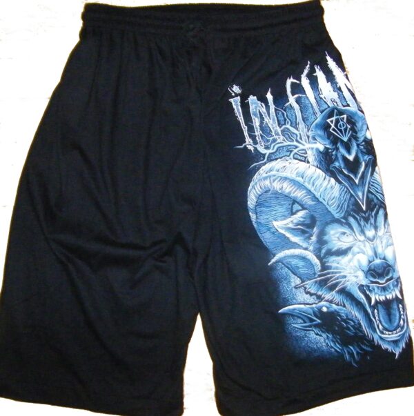 In Flames shorts - Image 2