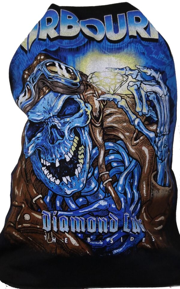 Airbourne backpack Diamond Cuts