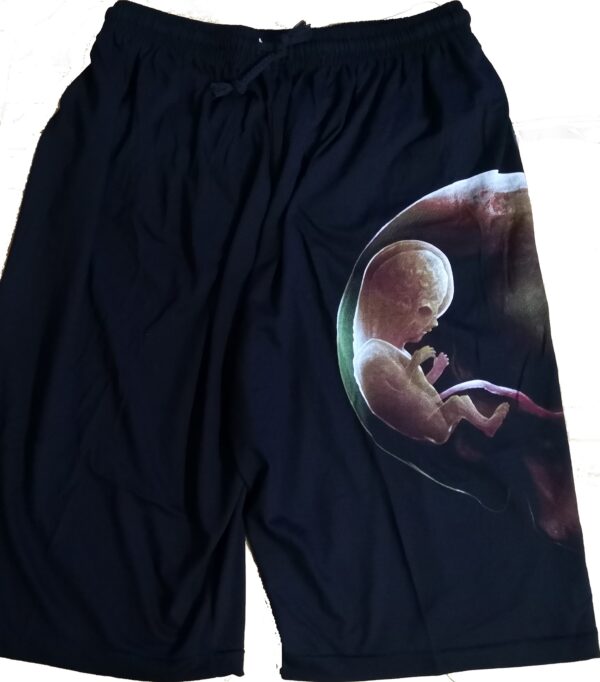 Tool shorts - Image 2
