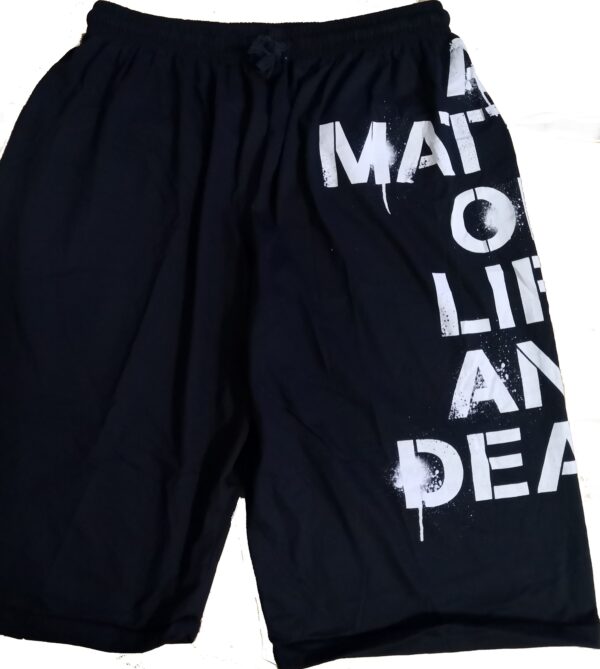 Iron Maiden shorts A Matter of Life and Death - Image 2