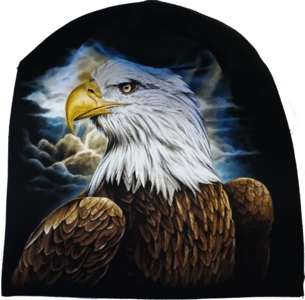 Eagle beanie