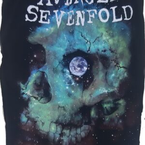 Avenged Sevenfold shorts The Stage