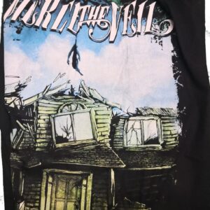 Pierce The Veil shorts Collide with the Sky